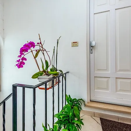 Living Apartmán Capri